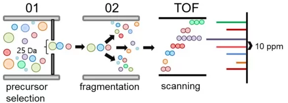 DIA MS Proteomics DIA MS Proteomics